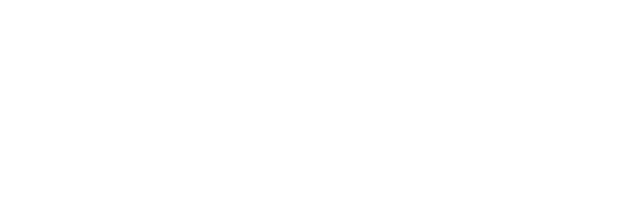 goodram industrial