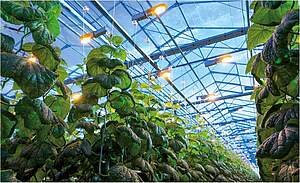 Pioneering the Future: Advanced Technological Solutions Shaping Market Evolution Transforming Market Dynamics - Leading Innovations in Technology for Emerging Industries