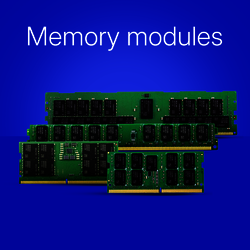 Memory Modules