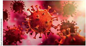 Virus Virus