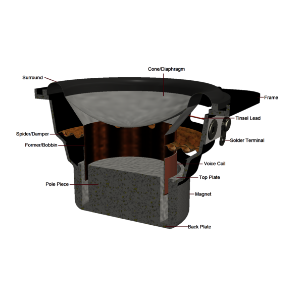 Construction of a dynamic loudspeaker