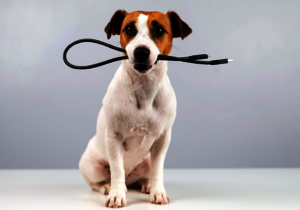 How PROFET™ Wire Guard Protects Your Electrical System from Unexpected Hazards How PROFET™ Wire Guard Protects Your Electrical System from Unexpected Hazards