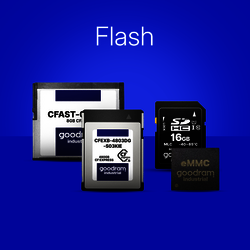 Flash Memory