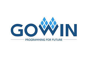 Gowin Programming for Future